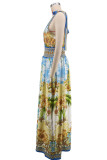Colorful Print Deep V Neck Maxi Dress XHXF-487