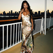 Sexy Backless Print Maxi Dress DLSF-K6D07022A