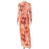 Color Block Print Long Sleeve Maxi Dress GJYO-JD305381