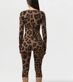 Leopard Print Hollow Out Seventh Jumpsuit YWXS-K26L2544