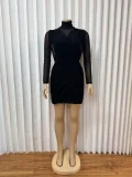 Long Sleeve Mesh See Through Mini Dress GMYU-10228
