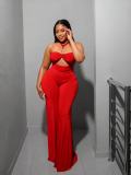Sexy Halterneck Hollow Out Jumpsuit GADE-10086