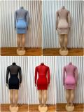 Long Sleeve Mesh See Through Mini Dress GMYU-10228