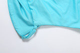 Solid Color Patchwork Two Piece Skirts Set GZJQ-K6D08883A