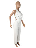 Solid Color Halterneck Backless Mesh Pants Suit SHD-9541