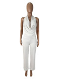 Solid Color Halterneck Backless Mesh Pants Suit SHD-9541