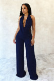 Solid Color Halterneck Backless Mesh Pants Suit SHD-9541