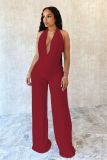 Solid Color Halterneck Backless Mesh Pants Suit SHD-9541
