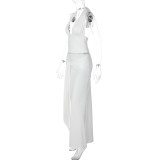 Solid Color Halterneck Backless Two Piece Skirts Set GLAG-S6321405H