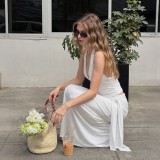 Solid Color Halterneck Backless Two Piece Skirts Set GLAG-S6321405H