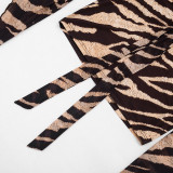 Tiger Print Long Sleeve Mesh Mini Dress GDSF-D26DS172