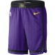 NBA Men Los Angeles Lakers Retro Purple with Black Lines Pant Short High Quality Name and Number Print
