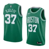 NBA Boston Celtics Green with White Name #37 DJELEYE Jersey High Quality Name and Number Print