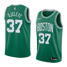 NBA Boston Celtics Green with White Name #37 DJELEYE Jersey High Quality Name and Number Print