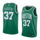 NBA Boston Celtics Green with White Name #37 DJELEYE Jersey High Quality Name and Number Print