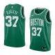 NBA Boston Celtics Green with White Name #37 DJELEYE Jersey High Quality Name and Number Print