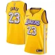 NBA Los Angeles Lakers 19-20 New Yellow #23 JAMES Jersey High Quality Name and Number Print