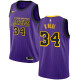 NBA Men Los Angeles Lakers Retro Purple with Black Lines #34 O'NEAL Round Neck Jersey High Quality Name and Number Print