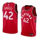 NBA Men Toronto Raptors Red #42 POELTL Jersey High Quality Name and Number Print
