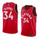 NBA Men Toronto Raptors Red #34 McKINNIE Jersey High Quality Name and Number Print