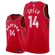 NBA Men Toronto Raptors Red #14 GREEN Jersey High Quality Name and Number Print