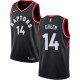 NBA Men Toronto Raptors Black #14 GREEN Jersey High Quality Name and Number Print