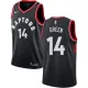 NBA Men Toronto Raptors Black #14 GREEN Jersey High Quality Name and Number Print