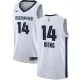 NBA Men Memphis Grizzlies White #14 DIENG Jersey High Quality Name and Number Print