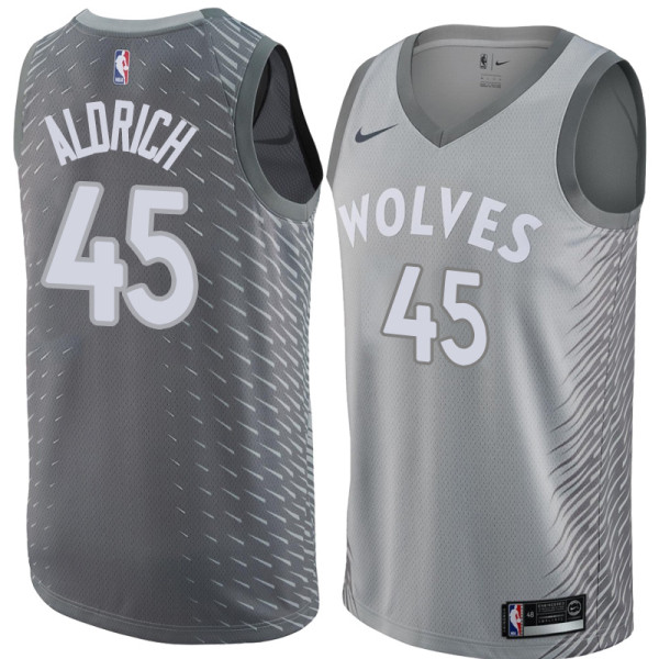 NBA Men Minnesota Timberwolves Grey City #45 ALDRICH Jersey High Quality Name and Number Print