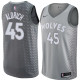 NBA Men Minnesota Timberwolves Grey City #45 ALDRICH Jersey High Quality Name and Number Print