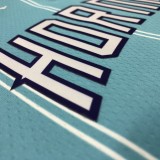 NBA Men Charlotte Hornets #20 HAYWARD Blue Jersey High Quality Name and Number Print