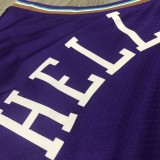 NBA Men Utah Jazz Purple Snow Mountain #45 MITCHELL Jersey High Quality Name and Number Print