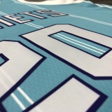 NBA Men Charlotte Hornets #20 HAYWARD Blue Jersey High Quality Name and Number Print
