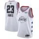 NBA Men 2019 All Star Jerseys White #23 JAMES Jersey High Quality Name and Number Print