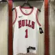 NBA Men Chicago Bulls White #1 ROSE Jersey High Quality Name and Number Print
