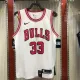 NBA Men Chicago Bulls White #33 PIPPEN Jersey High Quality Name and Number Print