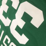 NBA Boston Celtics Green with White Name #33 BIRD Jersey High Quality Name and Number Print