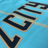 NBA Men Season 2021 Charlotte Hornets #20 HAYWARD Green City Jersey High Quality Name and Number Print