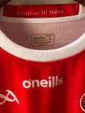 Rugby Tyrone GAA Away 2-Stripe Jersey