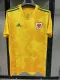 2020 European Welsh Away Soccer Jersey Fans Version  1:1 Quality