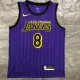 NBA Men Los Angeles Lakers Retro Purple with Black Lines #8 BRYANT Round Neck Jersey High Quality Name and Number Print