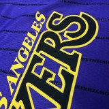 NBA Men Los Angeles Lakers Retro Purple with Black Lines #0 YOUNG Round Neck Jersey High Quality Name and Number Print