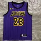 NBA Men Los Angeles Lakers Retro Purple with Black Lines #23 JAMES Round Neck Jersey High Quality Name and Number Print