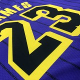 NBA Men Los Angeles Lakers Retro Purple with Black Lines #23 JAMES Round Neck Jersey High Quality Name and Number Print