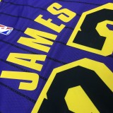 NBA Men Los Angeles Lakers Retro Purple with Black Lines #23 JAMES Round Neck Jersey High Quality Name and Number Print
