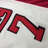 NBA Portland Trail Blazers Beige #7 ROY Jersey High Quality Name and Number Print