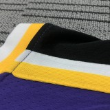 NBA Men Los Angeles Lakers Retro Purple #7 ANTHONY Round Neck Jersey High Quality Name and Number Print