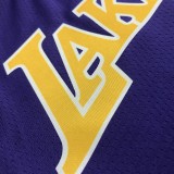 NBA Men Los Angeles Lakers Purple #0 WESTBROOK V-neck Jersey High Quality Name and Number Print