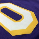 NBA Men Los Angeles Lakers Purple #0 WESTBROOK V-neck Jersey High Quality Name and Number Print
