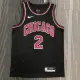 NBA Men Chicago Bulls Black #2 BALL Jersey High Quality Name and Number Print